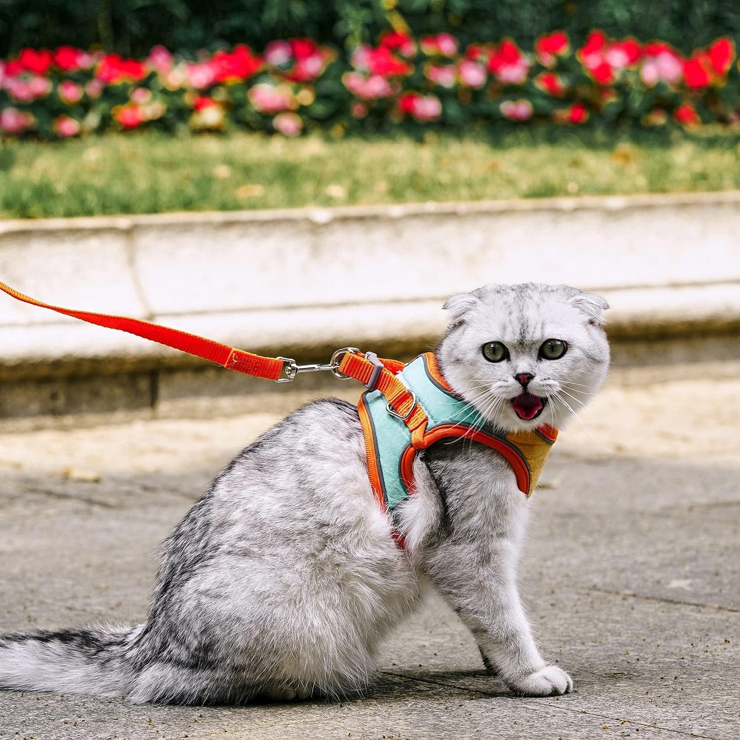 Escape Proof Cat Harness & Leash Set – Reflective, Adjustable, Secure - FurriendlyPaws | Furry Friends, Happy Hearts