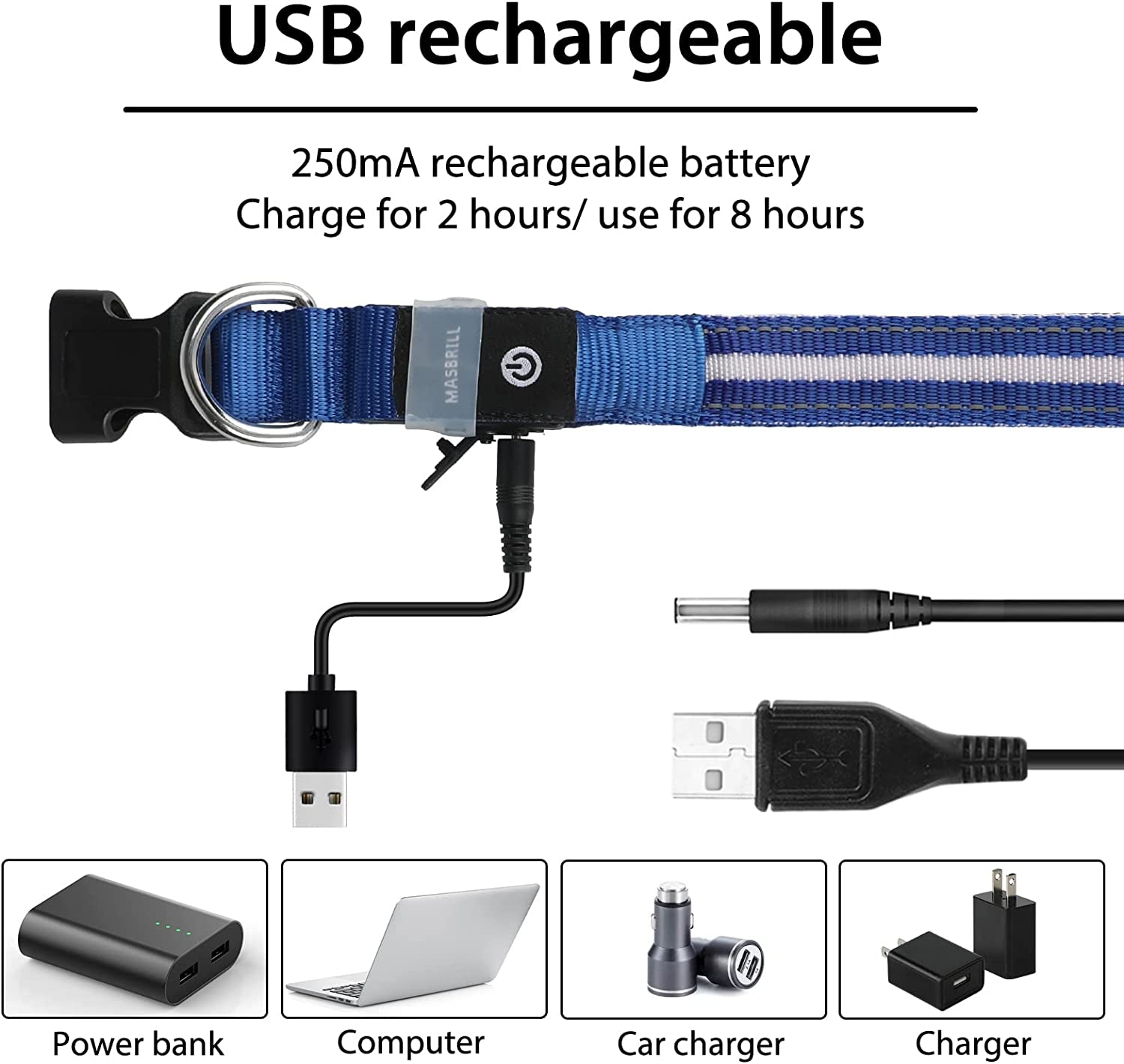 LED Dog Collar – Rechargeable Light-Up, Waterproof & Adjustable - FurriendlyPaws | Furry Friends, Happy Hearts