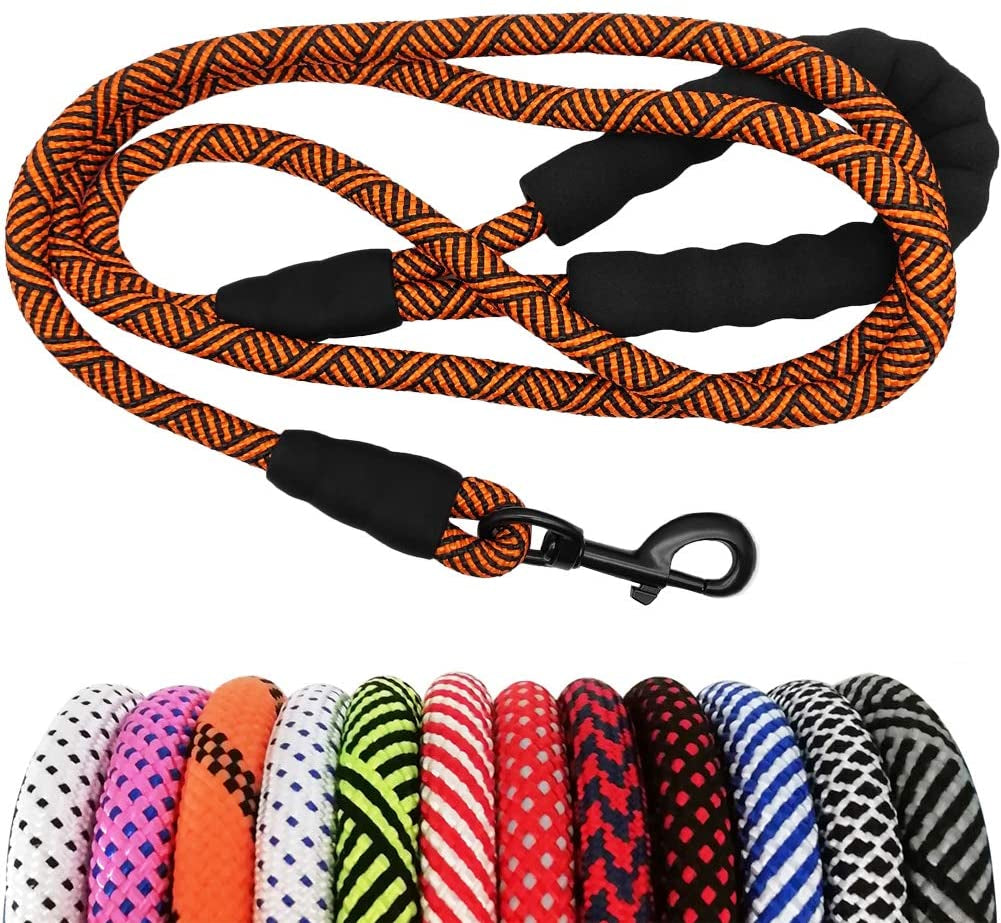 Dog leash with black and orange pattern on a white background