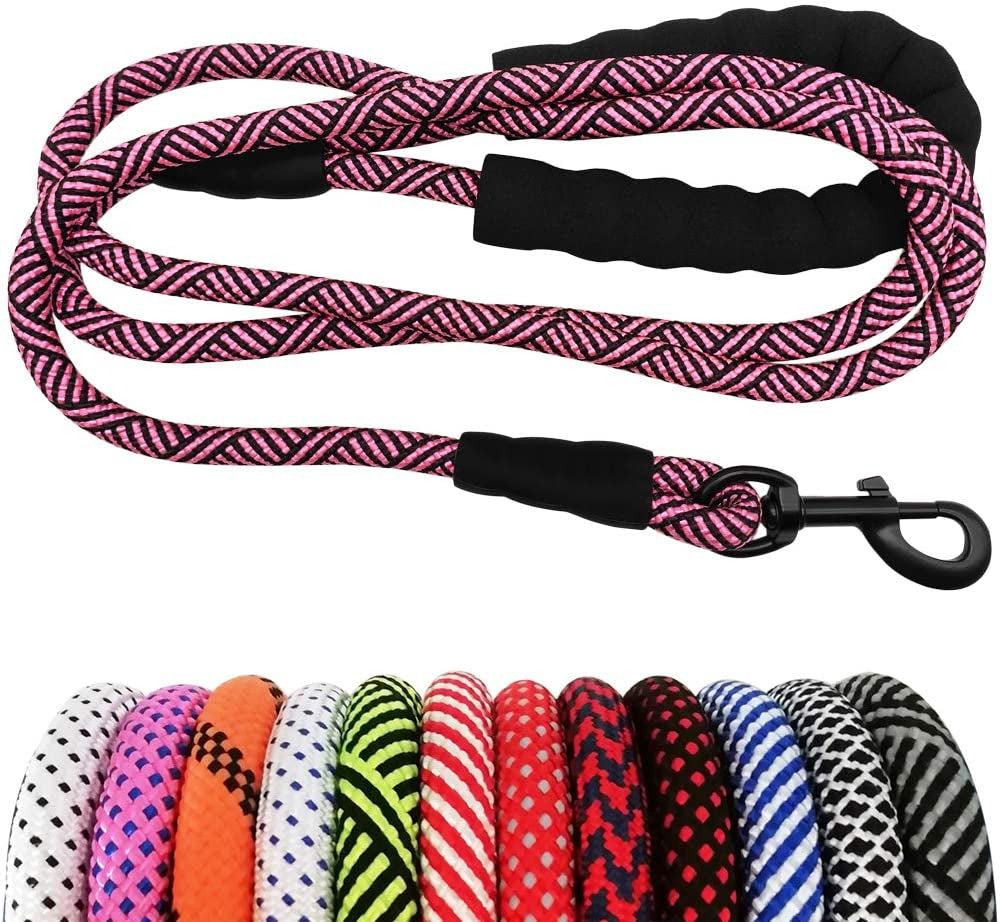 Pink and black braided dog leash with a clip on a white background, surrounded by other colorful leashes.