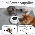 2-in-1 Smart Pet Toy – Automatic Feather & Ball, 3 Modes, Interactive Fun for Cats & Dogs