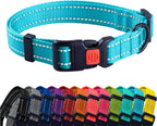 Teal dog collar with multiple color options displayed below on a white background