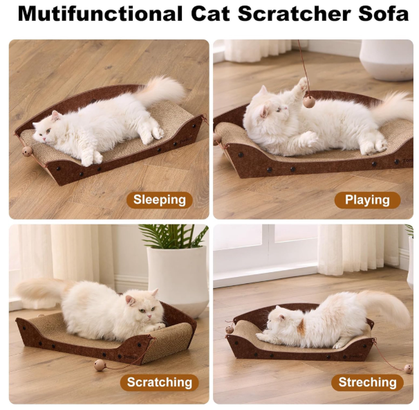 FurriendlyPaws | Furry Friends, Happy Hearts