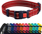 Red dog collar with a row of colorful collars below on a white background