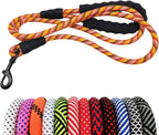 Dog leash with colorful patterns and a clip, displayed against a white background.