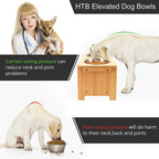 Promotional image for HTB Elevated Dog Bowls with a dog and a person, highlighting correct eating posture benefits.