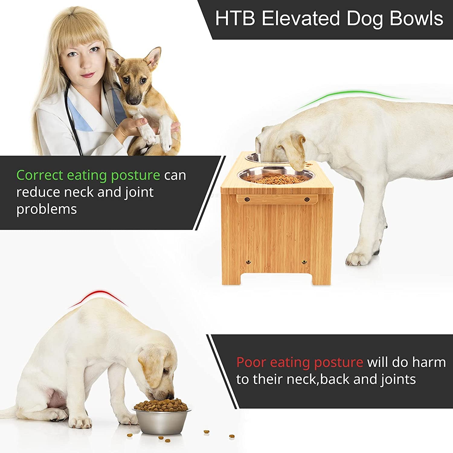 Promotional image for HTB Elevated Dog Bowls with a dog and a person, highlighting correct eating posture benefits.