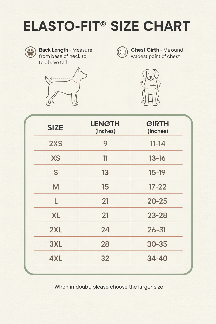 FurriendlyPaws | Furry Friends, Happy Hearts