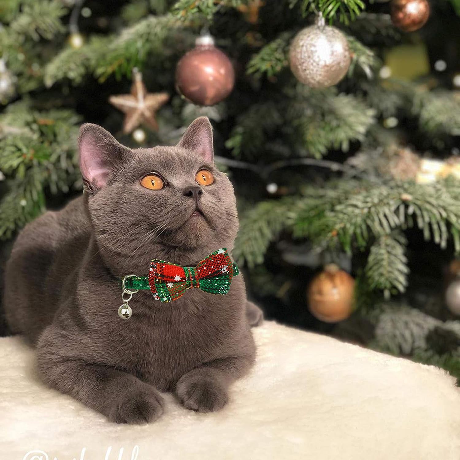 Christmas Cat Collar with Bow Tie & Bell – Holiday Buffalo Plaid Breakaway Collar for Cats & Kittens - FurriendlyPaws | Furry Friends, Happy Hearts