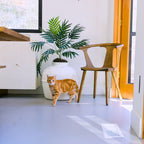 Original Hidden Litter Box Planter – Hooded Cat Litter Box with Fake Plant Cover