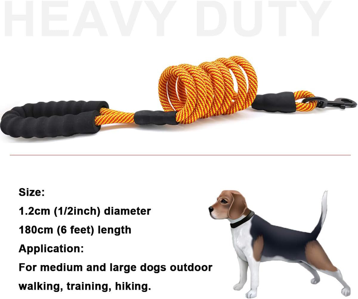 Heavy-duty dog leash with black handles and orange rope, featuring a dog for scale on a white background.