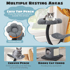 Cat Tree for Large & Small Cats – Stylish Metal Frame Cat Tower