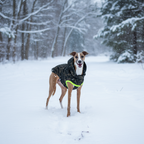 GF Pet Recycled Parka – Sustainable Warmth with ElastoFit® Comfort