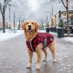 ZZ Nor Blanket Coat – Cozy Chic for Every Pup