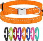 Orange dog collar with silver buckle and additional collars in various colors on a white background