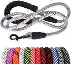Dog leash with black handle and colorful options displayed below on a white background
