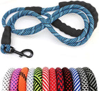 Blue braided dog leash with black handle and clip, displayed with a variety of colorful braided leashes.