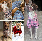 Plaid Dog Hoodie – Warm Winter Coat with Leash Hole, Stylish Sweater for Small, Medium & Large Dogs & Cats