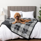 Waterproof Dog Blanket – Leakproof Pet Couch Cover, Multiple Sizes & Patterns - FurriendlyPaws | Furry Friends, Happy Hearts