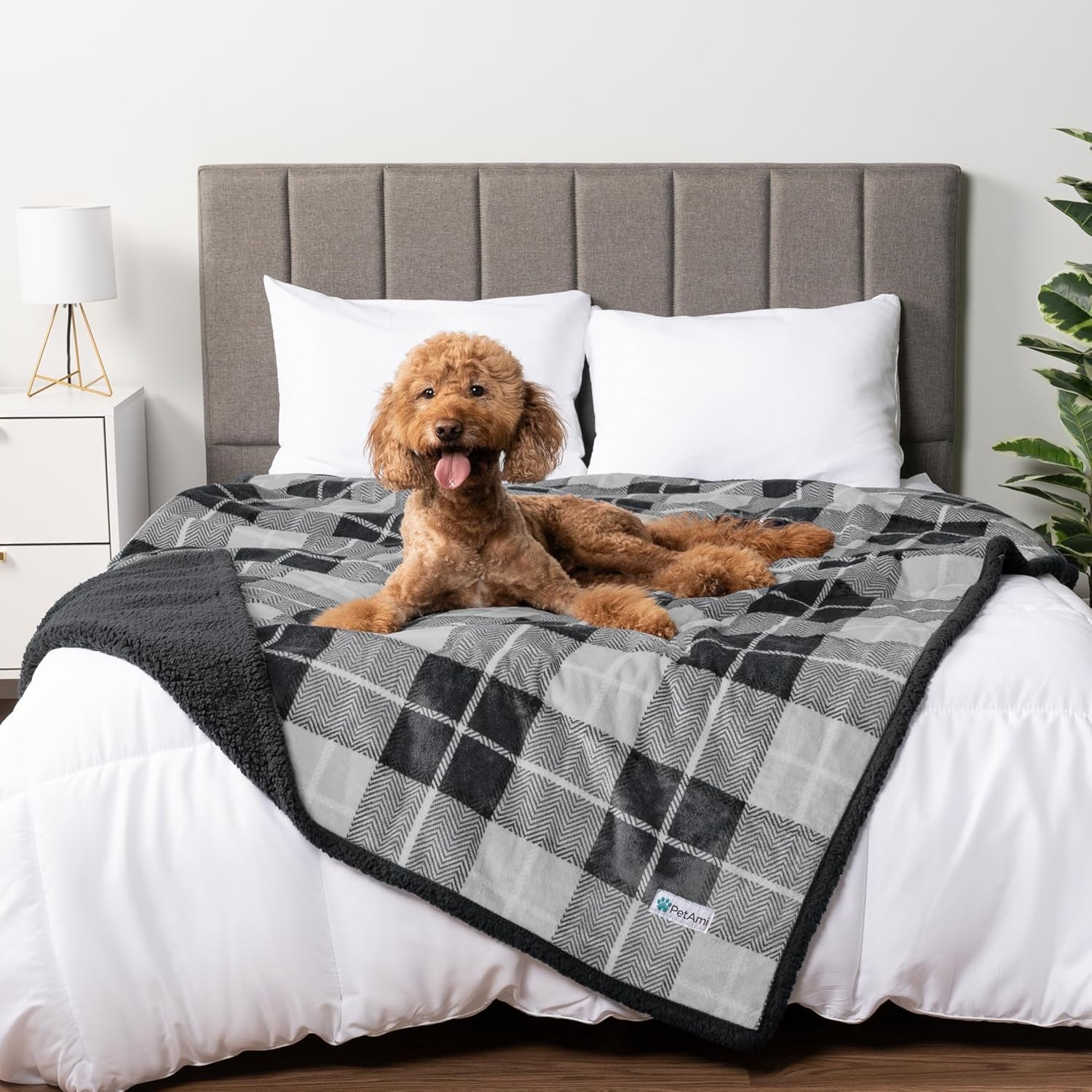 Waterproof Dog Blanket – Leakproof Pet Couch Cover, Multiple Sizes & Patterns - FurriendlyPaws | Furry Friends, Happy Hearts