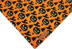 2-Pack Dog Bandanas – Reversible Triangle Pet Scarves for All Seasons, Adjustable Fit - FurriendlyPaws | Furry Friends, Happy Hearts