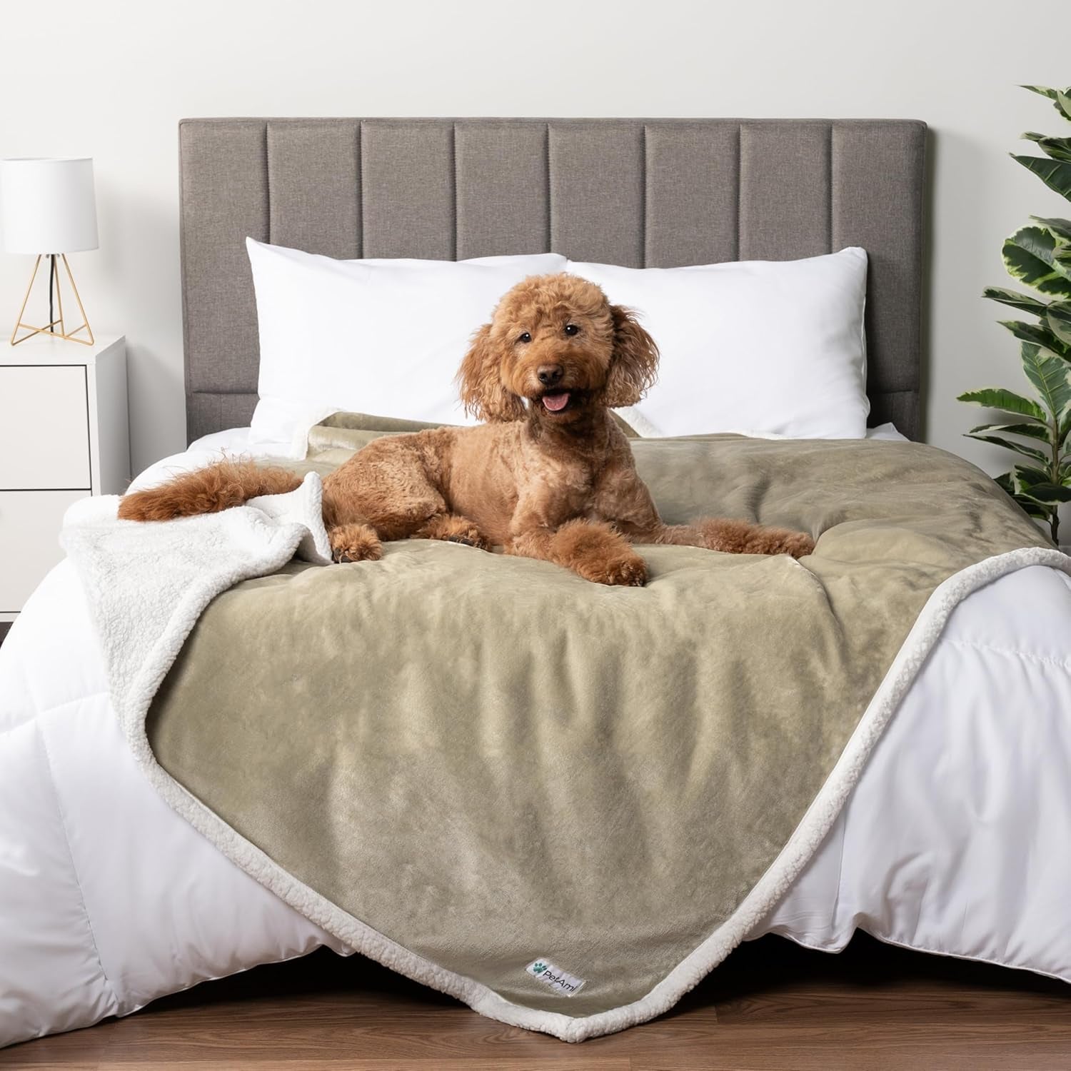 Waterproof Dog Blanket – Leakproof Pet Couch Cover, Multiple Sizes & Patterns - FurriendlyPaws | Furry Friends, Happy Hearts