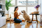 PawMaze™ Slow Feeder Dog Bowl – Interactive Puzzle Feeder for Dogs - FurriendlyPaws | Furry Friends, Happy Hearts