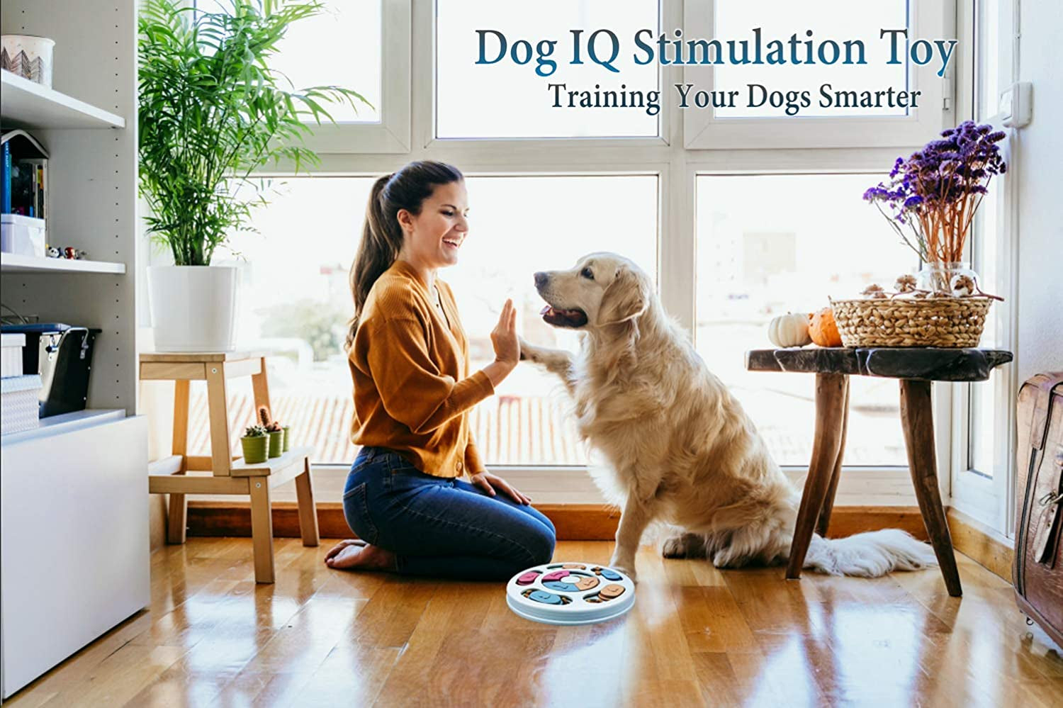 PawMaze™ Slow Feeder Dog Bowl – Interactive Puzzle Feeder for Dogs - FurriendlyPaws | Furry Friends, Happy Hearts