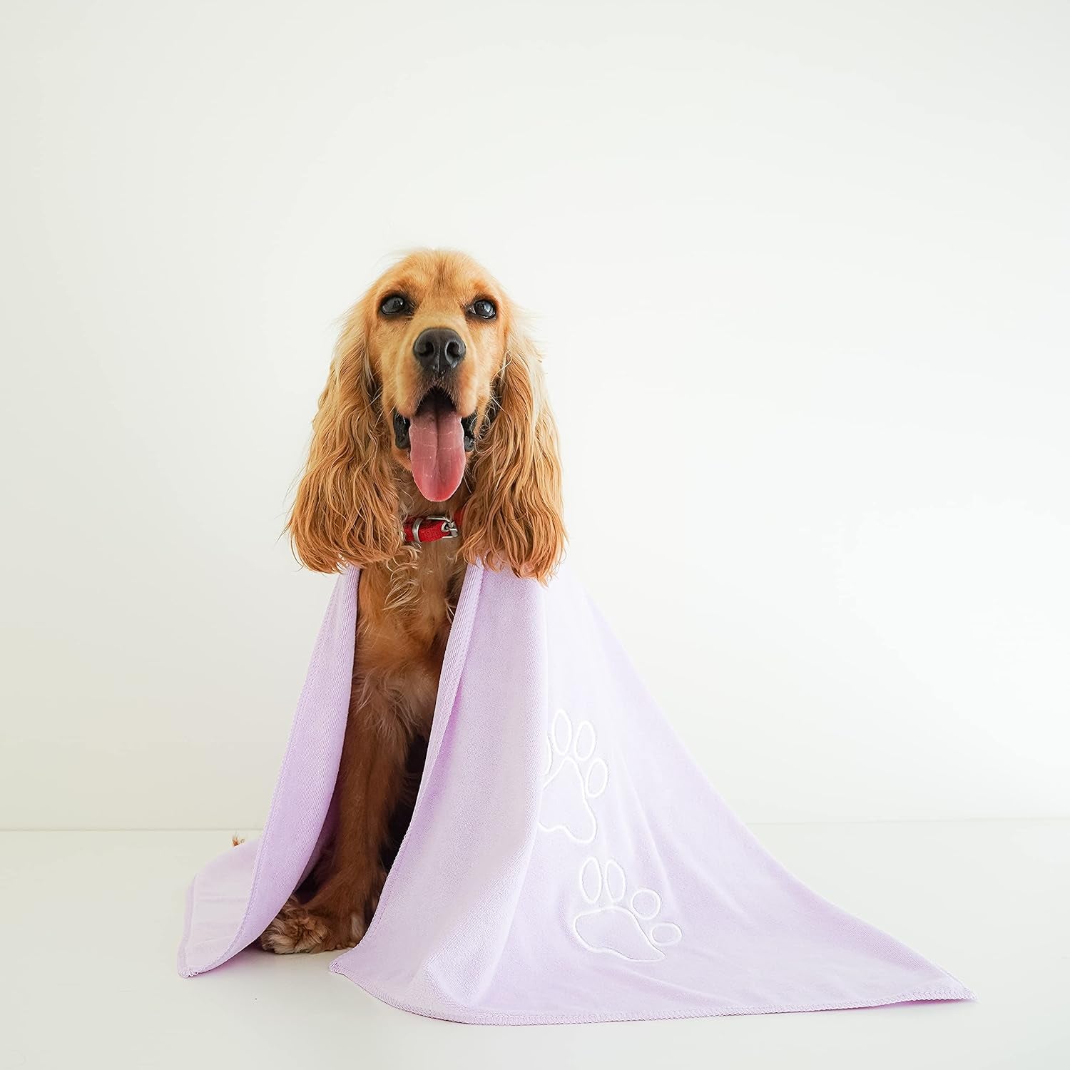 Unconditional Love Pet Drying Towel – Absorbent Microfiber for Cats & Dogs - FurriendlyPaws | Furry Friends, Happy Hearts