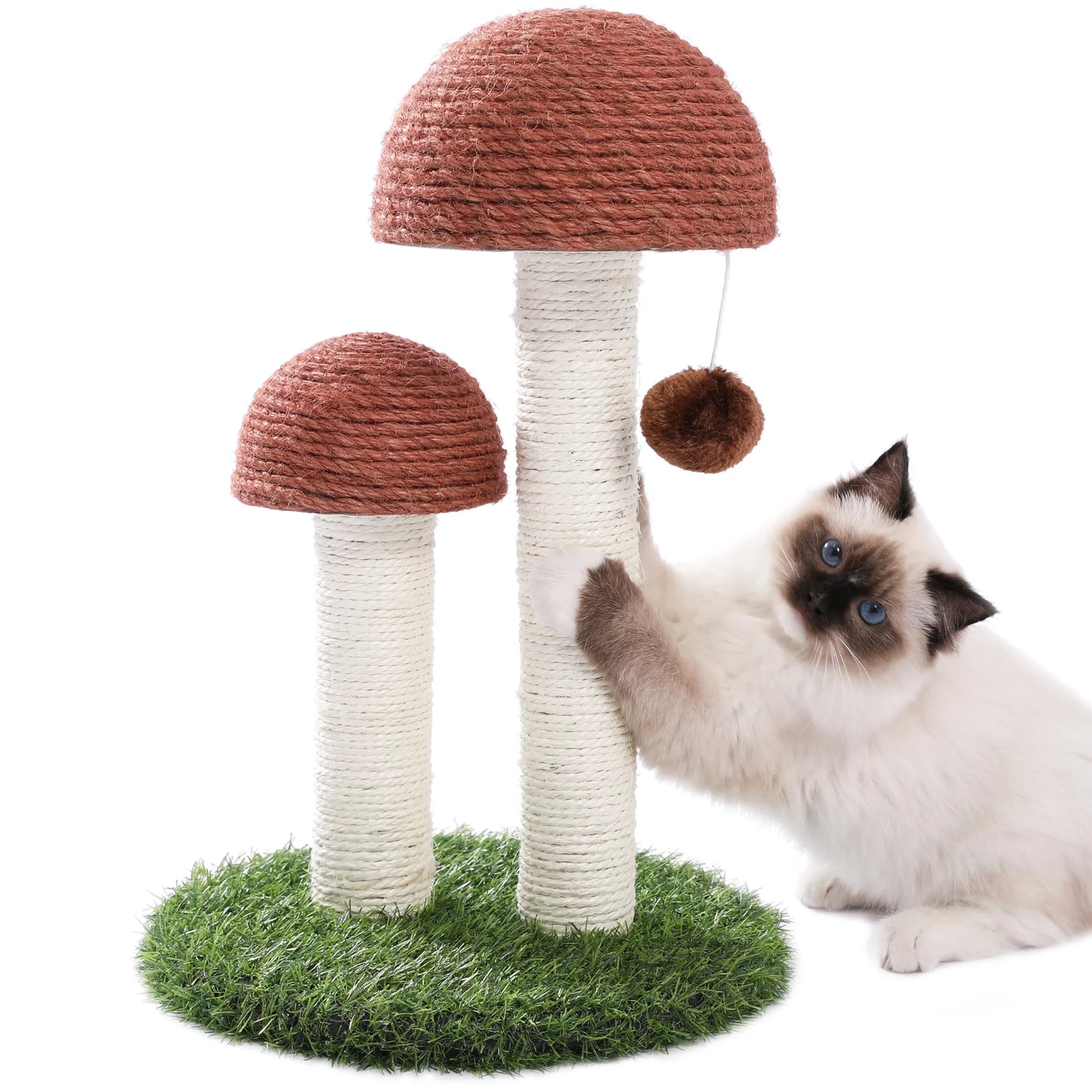 2 Mushrooms Cat Scratching Post – 19" Sisal Rope Cat Scratcher with Grass Base & Dangling Ball, Cute Mushroom Design for Kittens & Small Cats