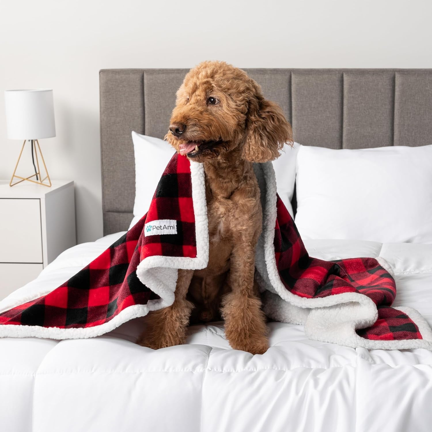 Waterproof Dog Blanket – Leakproof Pet Couch Cover, Multiple Sizes & Patterns - FurriendlyPaws | Furry Friends, Happy Hearts