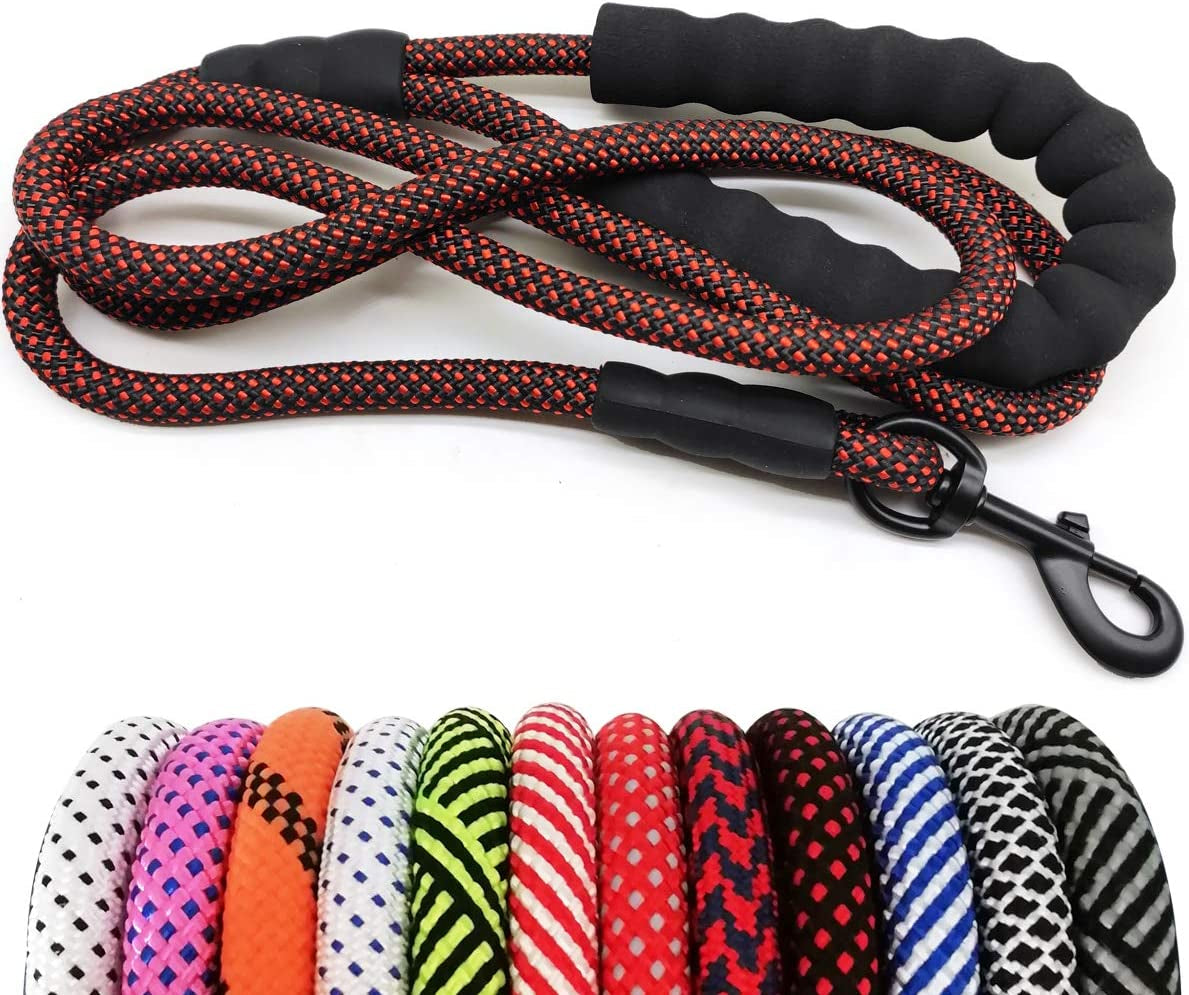 Dog leash with black and red pattern on a white background, followed by a row of colorful leashes.