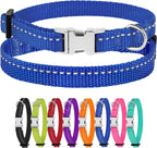 Blue dog collar with metal buckle and additional collars in various colors displayed below.