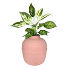 Original Hidden Litter Box Planter – Hooded Cat Litter Box with Fake Plant Cover