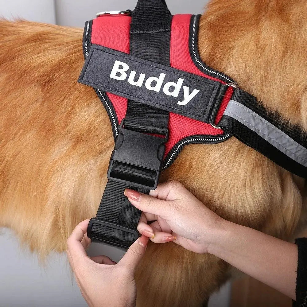 Custom ID Dog Harness - FurriendlyPaws | Furry Friends, Happy Hearts