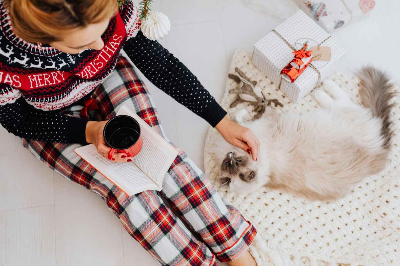 FurriendlyPaws | Furry Friends, Happy Hearts