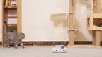 2-in-1 Smart Pet Toy – Automatic Feather & Ball for Cats & Dogs