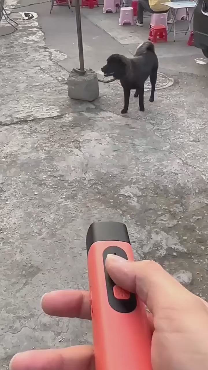 FurriendlyPaws | Furry Friends, Happy Hearts