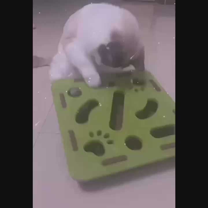 FurriendlyPaws | Furry Friends, Happy Hearts