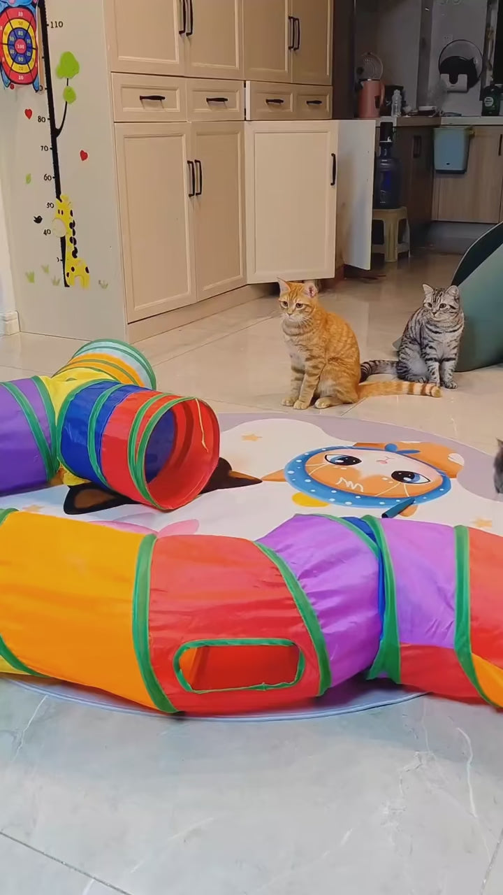 FurriendlyPaws | Furry Friends, Happy Hearts