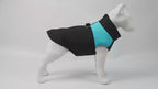 Keep Your Pup Cozy & Stylish – Winter Walks Made Easy