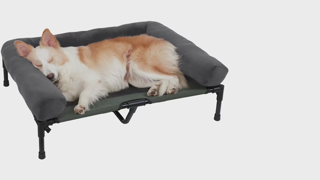 FurriendlyPaws | Furry Friends, Happy Hearts