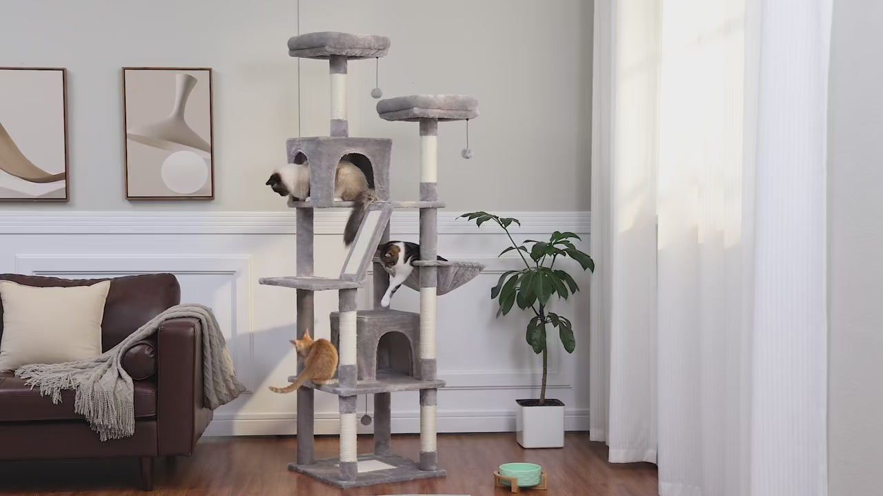 FurriendlyPaws | Furry Friends, Happy Hearts