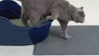 Cat Litter Mat – Waterproof Honeycomb Scatter Control for Clean Floors