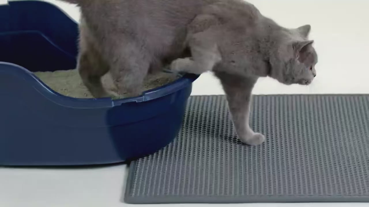 Cat Litter Mat – Waterproof Honeycomb Scatter Control for Clean Floors