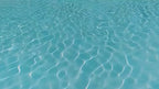 Foldable Pet Pool – Portable Hard Plastic Bath Tub for Dogs & Cats