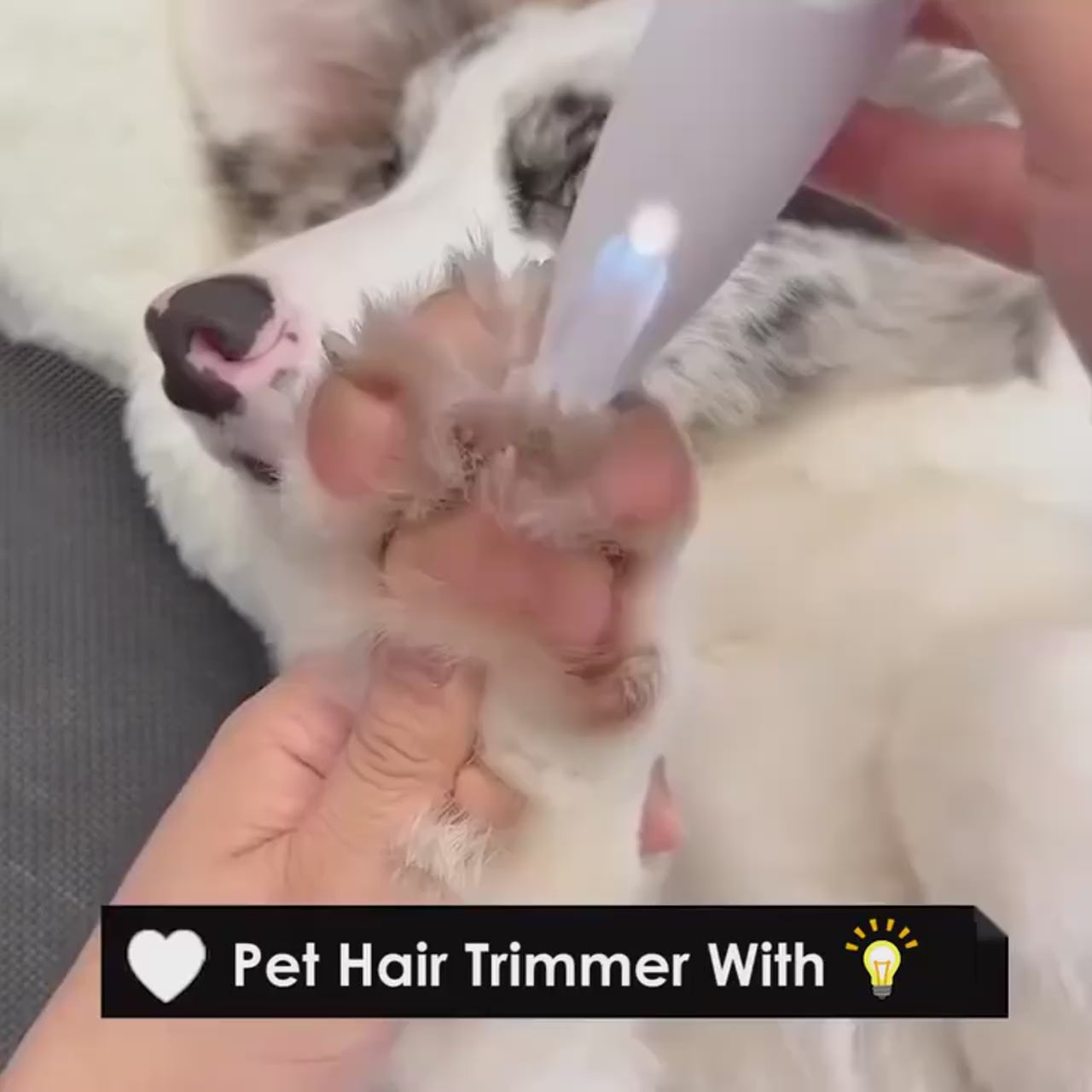 FurriendlyPaws | Furry Friends, Happy Hearts