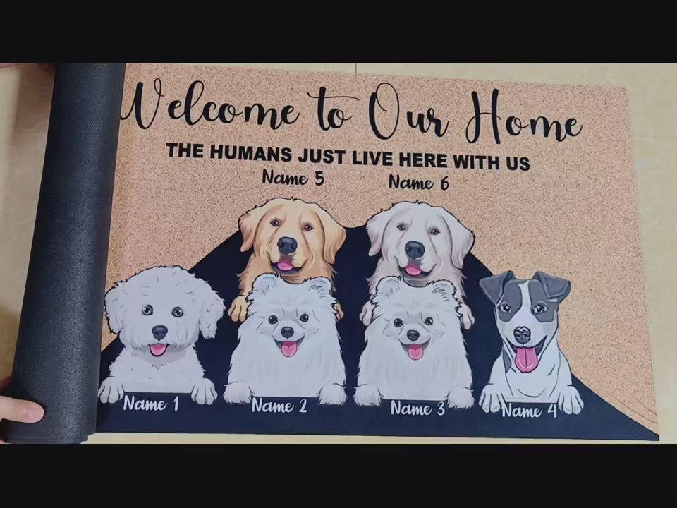 FurriendlyPaws | Furry Friends, Happy Hearts