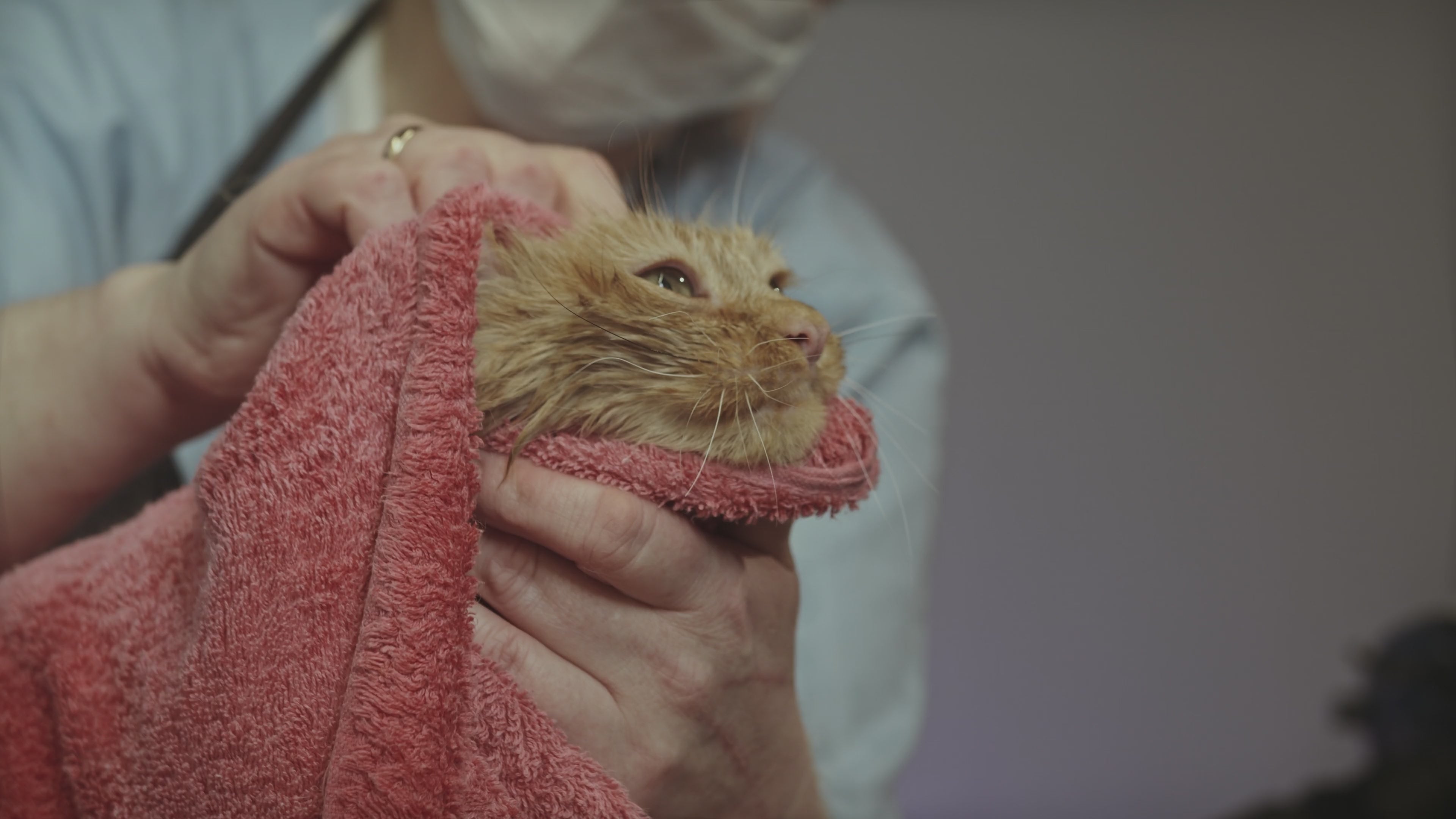 FurriendlyPaws | Furry Friends, Happy Hearts