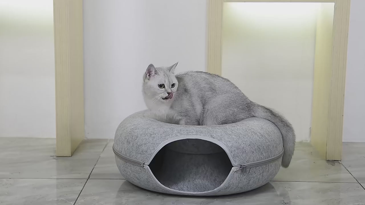 FurriendlyPaws | Furry Friends, Happy Hearts